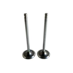 ISG Diesel Engine 3697413 Intake Valve For FOTON Cummins